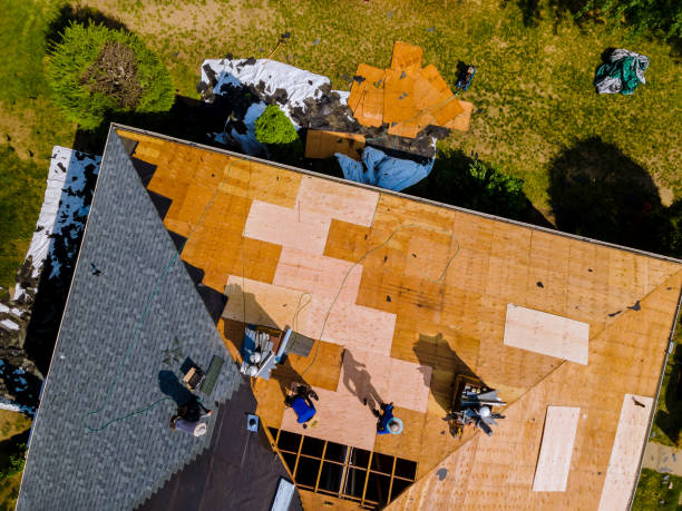 Best Roof Repair Services  in Chouteau, OK