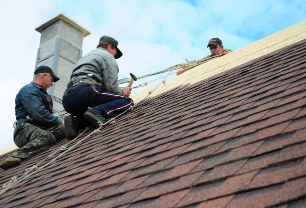 Best Roof Gutter Cleaning  in Chouteau, OK